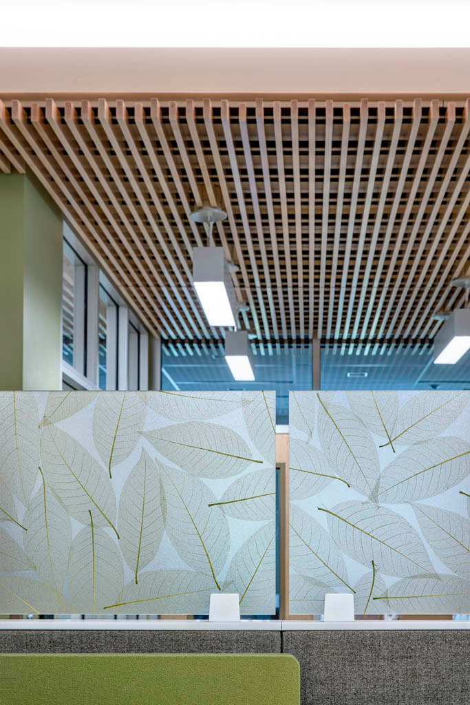Decorative lighting and panels at SCF Primary Care Center 2 North 
